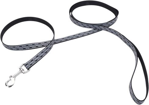 Coastal - Lazer Brite - Reflective Open-Design Dog Leash, Blue Lagoon Wave, 3/8" x 06' in Saudi Arabia