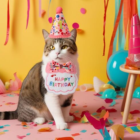 KALIONE Cat Birthday Party Supplies Pack, Cute Cat Birthday Hat with 0-8 Numbers, Adjustable Cat Bandana, Cat Birthday Decorations, Birthday Outfits Hat Accessories for Indoor Cats Kitten Pet, Pink in Kuwait