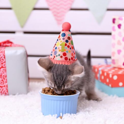 KALIONE Cat Birthday Party Supplies Pack, Cute Cat Birthday Hat with 0-8 Numbers, Adjustable Cat Bandana, Cat Birthday Decorations, Birthday Outfits Hat Accessories for Indoor Cats Kitten Pet, Pink in Kuwait