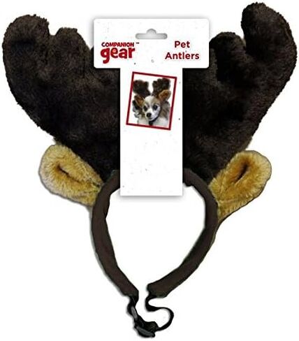 كومبانيون جير 70051 قرون الحيوانات الأليفة للعطلات، متوسطة/كبيرة in Kuwait