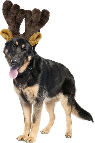 كومبانيون جير 70051 قرون الحيوانات الأليفة للعطلات، متوسطة/كبيرة in Kuwait