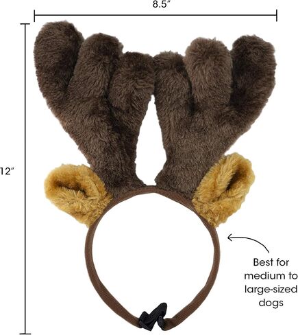 كومبانيون جير 70051 قرون الحيوانات الأليفة للعطلات، متوسطة/كبيرة in Kuwait