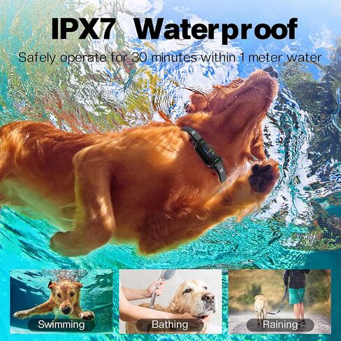 طوق تدريب الصدمات للكلاب من Homcolorful، 5 أوضاع للتدريب، أطواق مضادة للنباح للكلاب، 9 مستويات صدمة آمنة، طوق تدريب الكلاب مقاوم للماء مع 7 حساسية قابلة للتعديل، طوق النباح للكلاب الصغيرة والمتوسطة والكبيرة in Kuwait