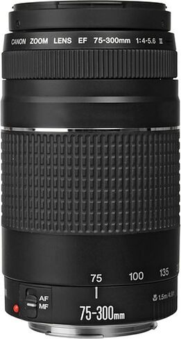 Canon EOS R6 Mark II Mirrorless Camera with 24-105mm f/4-7.1 is STM Lens + EF 75-300mm f/4-5.6 III Lens + 2pc 64GB Memory Cards + Filters + TTL Flash & More in Saudi Arabia