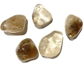 The Chrysalis Stone | Tumbled Stone | Smoky Quartz | 1" - 1.75" | 1 Pc | Crystals and Healing stones, Spiritual Gifts for Women, Reiki, Chakra, Witchcraft, Yoga, Meditation Accessories in Kuwait