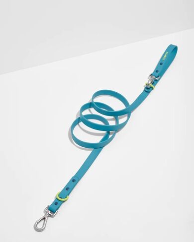 وايلد ون زمام للكلاب بطول قابل للتعديل ومقاوم للماء والرائحة (مقاس S، هدسون) in Kuwait