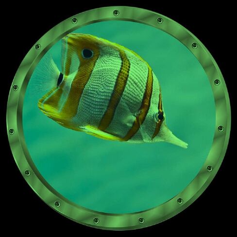 amaonm 12 "× 12" الإبداعية القابلة للإزالة يتوهج في الظلام عرض المحيط جدار الشارات 3D تحت سمك البحر الجدار ملصق الجداريات قشر عصا ديكور المنزل الفن للأطفال غرفة نوم الحمام الحضانة الثلاجة (دولفين) in Kuwait