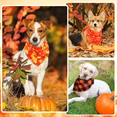 Sweetude 100 Pieces Fall Dog Bandanas Bulk, Thanksgiving Bandanas for Dogs Pumpkin Maple Leaves Pattern Pet Triangle Scarf, Puppy Dog Kerchief Bibs for Medium Small Pets Autumn Costume Accessories in Saudi Arabia