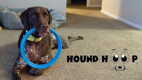 Hound Hoop - لعبة احترافية لإحضار الكلاب للسلالات المتوسطة والكبيرة - إطار جلب متدحرج وحلقة مطاردة للتدريب في الهواء الطلق ولعب استرجاع المياه - تساعد على تحسين خفة الحركة والتوازن والسرعة - 10x1.5... in Kuwait
