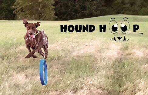 Hound Hoop - لعبة احترافية لإحضار الكلاب للسلالات المتوسطة والكبيرة - إطار جلب متدحرج وحلقة مطاردة للتدريب في الهواء الطلق ولعب استرجاع المياه - تساعد على تحسين خفة الحركة والتوازن والسرعة - 10x1.5... in Kuwait