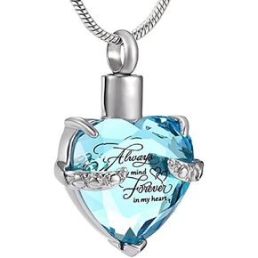 Heart Cremation Urn Necklace for Ashes Birthstone Cystal Urn Heart Necklace Crystal Cremation Heart Jewelry Memorial Urn Necklace for Ashes with Fill Kit for Women