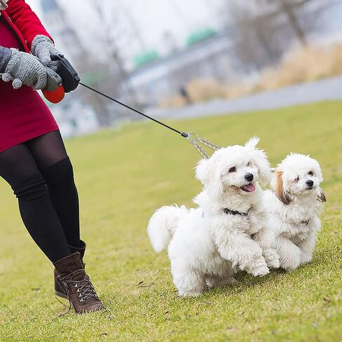 Metal Double Dog Lead,Double Leashes for 2 Dogs Double Dog Metal Chain Heavy Duty 2 Way Dog Lead No-Tangle Two Way Leashs for Pet Walking Training (2.5mm x 40cm) in Kuwait