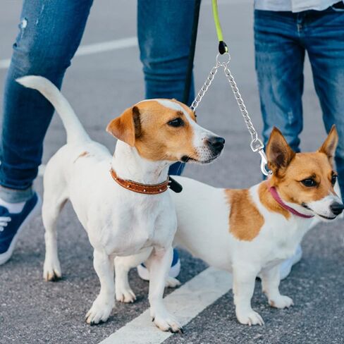 Metal Double Dog Lead,Double Leashes for 2 Dogs Double Dog Metal Chain Heavy Duty 2 Way Dog Lead No-Tangle Two Way Leashs for Pet Walking Training (2.5mm x 40cm) in Kuwait