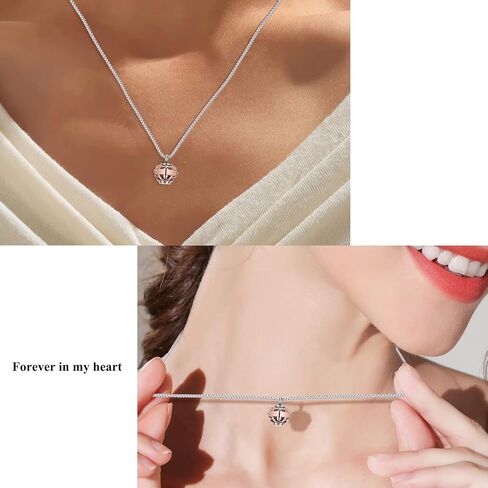 Urn Necklace for Ashes, Cremation Jewelry Urn Necklace for Ashes with Hollow Heart Rose Memorial Pendant Necklace Keepsake Memory Jewelry for Human for Women Men in Kuwait