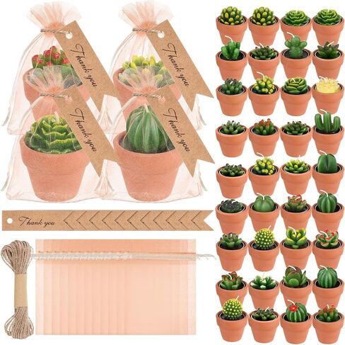 MTLEE 48 Pcs Succulent Cactus Candles Set Mini Tealight Candles Baby Shower Cactus Decorations Plant Candle with Mini Terracotta Clay Gift Tags Organza Bags for Birthday Wedding Party Favors in Saudi Arabia