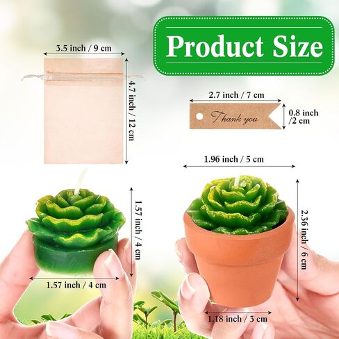 MTLEE 48 Pcs Succulent Cactus Candles Set Mini Tealight Candles Baby Shower Cactus Decorations Plant Candle with Mini Terracotta Clay Gift Tags Organza Bags for Birthday Wedding Party Favors in Saudi Arabia