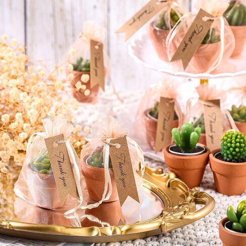 MTLEE 48 Pcs Succulent Cactus Candles Set Mini Tealight Candles Baby Shower Cactus Decorations Plant Candle with Mini Terracotta Clay Gift Tags Organza Bags for Birthday Wedding Party Favors in Saudi Arabia