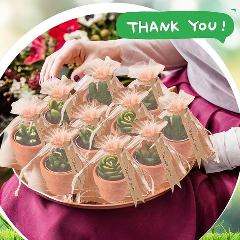 MTLEE 48 Pcs Succulent Cactus Candles Set Mini Tealight Candles Baby Shower Cactus Decorations Plant Candle with Mini Terracotta Clay Gift Tags Organza Bags for Birthday Wedding Party Favors in Saudi Arabia