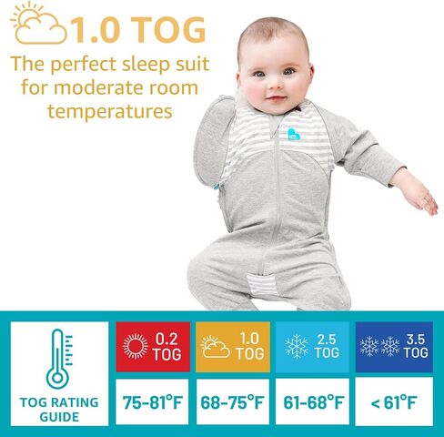 بدلة Love to Dream Swaddle UP الانتقالية، رمادية، كبيرة، 19-24 رطلاً، أجنحة بسحاب حاصلة على براءة اختراع وأكمام فريدة من نوعها مهدئة ذاتيًا، الانتقال بأمان من التقميط إلى خالية من الأسلحة قبل التدحرج in Saudi Arabia
