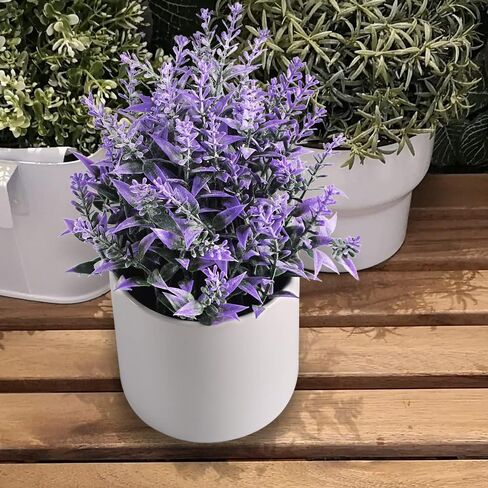 اوم ايدج نبات اللافندر الاصطناعي الصغير بوعاء، نباتات خضراء بلاستيكية صناعية مع وعاء لتزيين المنزل والمكتب in Kuwait