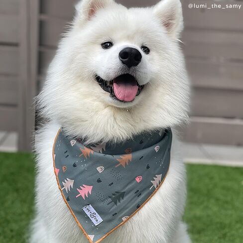 Lucy & Co. Cheery Cherries, Cute Reversible Dog Harness Walking Halter - Best Designer Pet Harnesses for XS - XL Dogs - Padded Adjustable Vest for Easy Walking (Medium) in Saudi Arabia