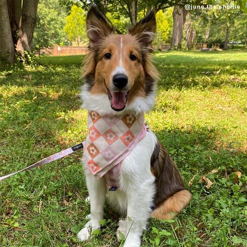 Lucy & Co. Cheery Cherries, Cute Reversible Dog Harness Walking Halter - Best Designer Pet Harnesses for XS - XL Dogs - Padded Adjustable Vest for Easy Walking (Medium) in Saudi Arabia