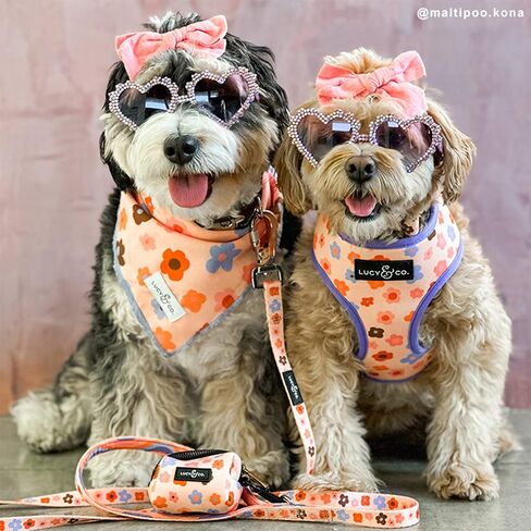 Lucy & Co. Cheery Cherries, Cute Reversible Dog Harness Walking Halter - Best Designer Pet Harnesses for XS - XL Dogs - Padded Adjustable Vest for Easy Walking (Medium) in Saudi Arabia