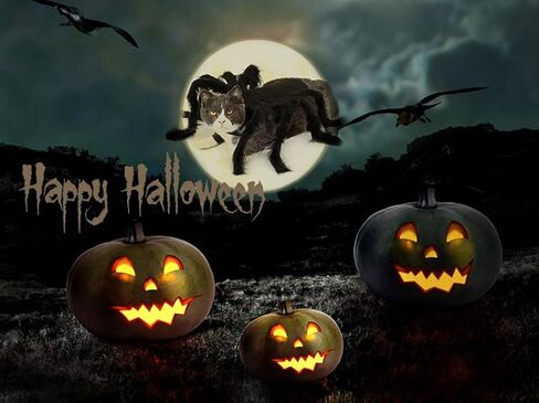 Dog Spider Costume, Spider Dog Costume Halloween Costume for Dogs or Cats, Horror Simulation Plush Big Spider Wings Dress Up Halloween Party Decoration. (S) Black in Saudi Arabia