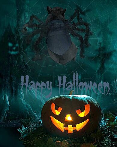 Dog Spider Costume, Spider Dog Costume Halloween Costume for Dogs or Cats, Horror Simulation Plush Big Spider Wings Dress Up Halloween Party Decoration. (S) Black in Saudi Arabia