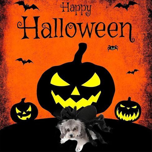 Dog Spider Costume, Spider Dog Costume Halloween Costume for Dogs or Cats, Horror Simulation Plush Big Spider Wings Dress Up Halloween Party Decoration. (S) Black in Saudi Arabia