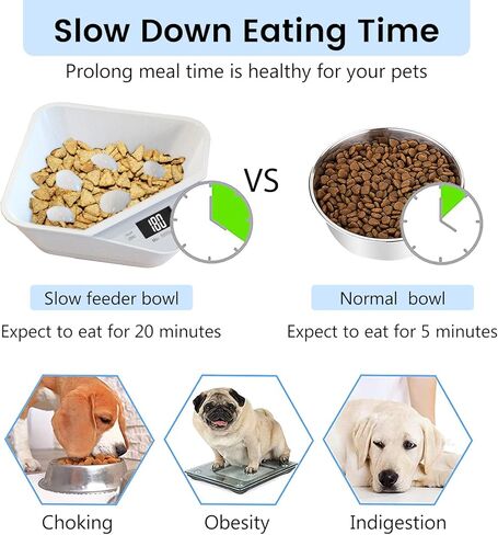 وعاء طعام بطيء للكلاب، وعاء بطيء مع ميزان إلكتروني، وعاء طعام للكلاب، وعاء طعام للحيوانات الصغيرة، وعاء للجراء، يتحكم في تناول الحيوانات الأليفة، أدوات مائدة مثالية للجراء والقطط الصغيرة (أبيض) in Kuwait
