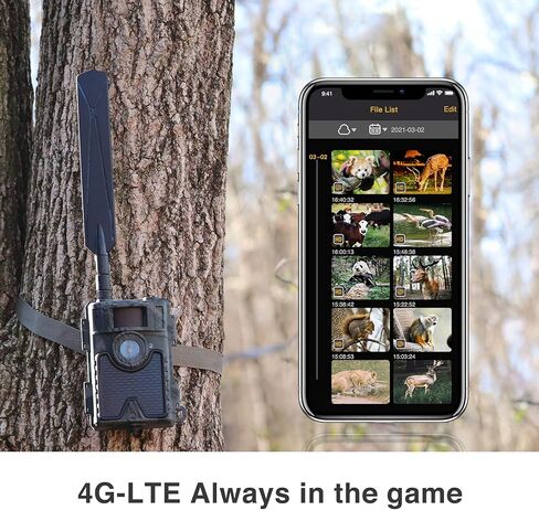 كاميرا WingHome 4G الخلوية 480Ace، كاميرا ألعاب لاسلكية بدقة 8/12/24 ميجابكسل FHD مع تطبيق مجاني وبطاقة SIM مقاومة للماء IP66 كاميرا خلوية للحياة البرية للطيور in Kuwait