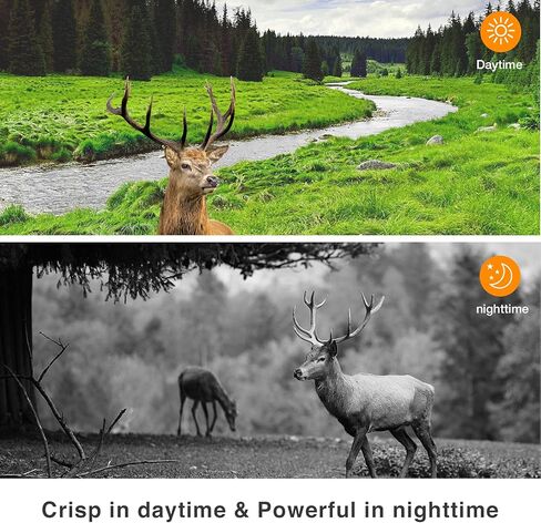 كاميرا WingHome 4G الخلوية 480Ace، كاميرا ألعاب لاسلكية بدقة 8/12/24 ميجابكسل FHD مع تطبيق مجاني وبطاقة SIM مقاومة للماء IP66 كاميرا خلوية للحياة البرية للطيور in Kuwait