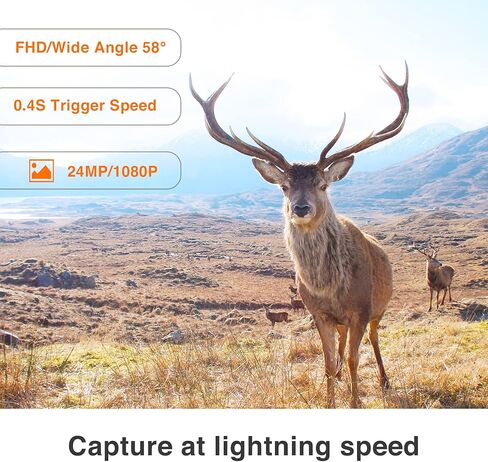 كاميرا WingHome 4G الخلوية 480Ace، كاميرا ألعاب لاسلكية بدقة 8/12/24 ميجابكسل FHD مع تطبيق مجاني وبطاقة SIM مقاومة للماء IP66 كاميرا خلوية للحياة البرية للطيور in Kuwait