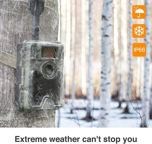 كاميرا WingHome 4G الخلوية 480Ace، كاميرا ألعاب لاسلكية بدقة 8/12/24 ميجابكسل FHD مع تطبيق مجاني وبطاقة SIM مقاومة للماء IP66 كاميرا خلوية للحياة البرية للطيور in Kuwait