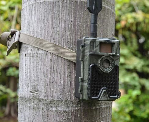 كاميرا WingHome 4G الخلوية 480Ace، كاميرا ألعاب لاسلكية بدقة 8/12/24 ميجابكسل FHD مع تطبيق مجاني وبطاقة SIM مقاومة للماء IP66 كاميرا خلوية للحياة البرية للطيور in Kuwait