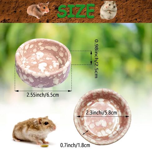 kathson 2 Pcs Hamster Food Bowl Guinea Pig Ceramic Water Bowl Small Animal Feeding Dish for Dwarf Hamster Gerbil Syrian Ferret Hedgehog Chinchilla Bunny (Blue)… in Kuwait