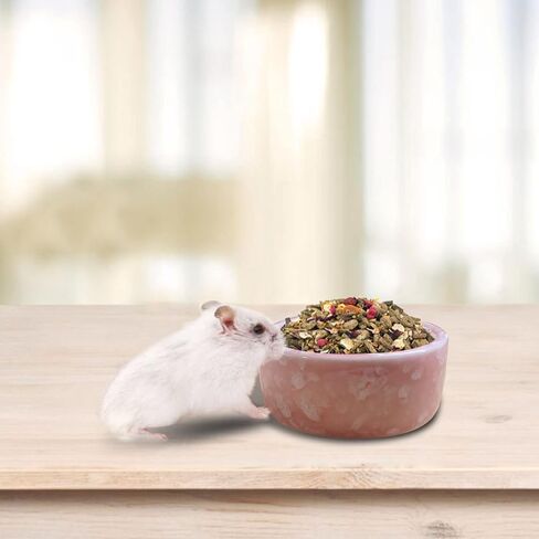 kathson 2 Pcs Hamster Food Bowl Guinea Pig Ceramic Water Bowl Small Animal Feeding Dish for Dwarf Hamster Gerbil Syrian Ferret Hedgehog Chinchilla Bunny (Blue)… in Kuwait