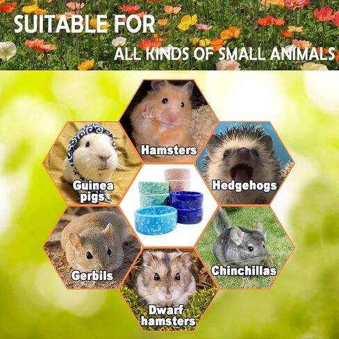 kathson 2 Pcs Hamster Food Bowl Guinea Pig Ceramic Water Bowl Small Animal Feeding Dish for Dwarf Hamster Gerbil Syrian Ferret Hedgehog Chinchilla Bunny (Blue)… in Kuwait