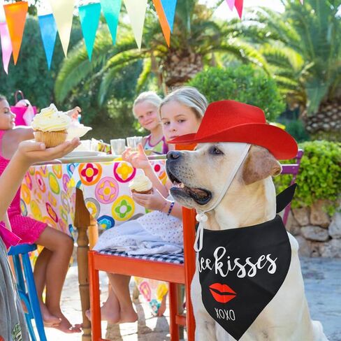 CooShou الكلب عيد الحب زي جرو الأحمر قبعة رعاة البقر الكلب قبلة باندانا الحيوانات الأليفة كاوبوي زي مع القلب للكلاب القطط 2 قطعة in Kuwait