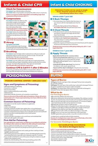 Safety Magnets ZOCO - Infant & Child First Aid Poster - Updated CPR & Choking Guidelines - Laminated 12x18 - CPR Choking Poison & Burn Chart - Home Daycare Essentials in Kuwait