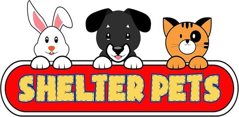 Shelter Pets مقاس 10 بوصات من القطيفة باللونين البني والأبيض - تيلمان - جحر ستافوردشاير المعتمد في الحياة الحقيقية - يدعم ملاجئ الحيوانات in Kuwait