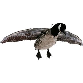 DEADLY DECOYS® أفخاخ البط والأوز الطائرة -1 شرك