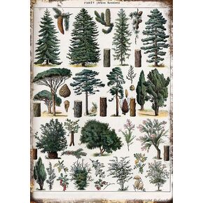 Forest Metal Tin Sign Forest Wall Art Pine Tree Nature Forest Decor Outdoor Indoor Wall Panel Retro Vintage Home Decoration 8x12 Inch in Kuwait