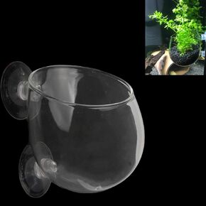 ايليندا كوب زجاجي كريستالي للنباتات المائية مع اكواب شفط لتزيين حوض السمك من ان واي in Kuwait