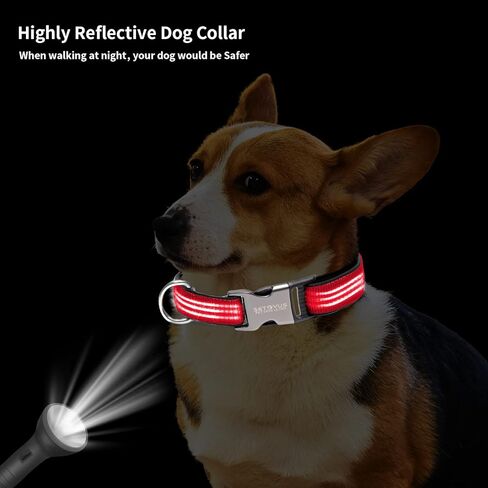 طوق كلب عاكس، طوق كلب من النايلون للكلاب الكبيرة والكلاب المتوسطة - أطواق جرو قابلة للتعديل مع مشبك معدني سريع التحرير - أطواق حيوانات أليفة ناعمة مبطنة بالنيوبرين قابلة للتنفس باللون الأحمر in Kuwait