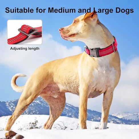 طوق كلب عاكس، طوق كلب من النايلون للكلاب الكبيرة والكلاب المتوسطة - أطواق جرو قابلة للتعديل مع مشبك معدني سريع التحرير - أطواق حيوانات أليفة ناعمة مبطنة بالنيوبرين قابلة للتنفس باللون الأحمر in Kuwait
