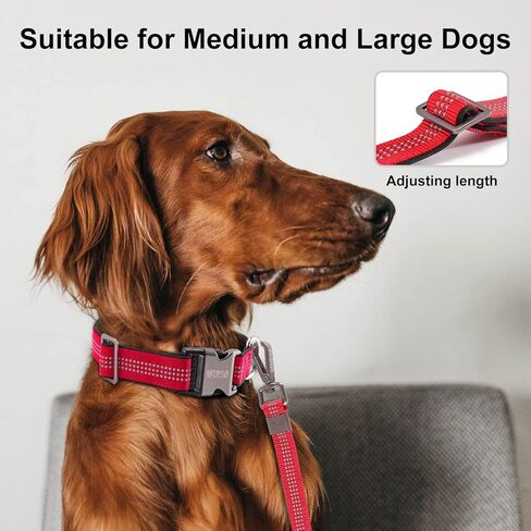 طوق كلب عاكس، طوق كلب من النايلون للكلاب الكبيرة والكلاب المتوسطة - أطواق جرو قابلة للتعديل مع مشبك معدني سريع التحرير - أطواق حيوانات أليفة ناعمة مبطنة بالنيوبرين قابلة للتنفس باللون الأحمر in Kuwait