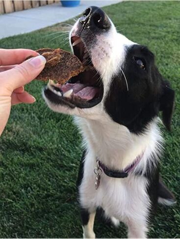 Superior Farms Pet Provisions Lamb Lung Dog Treats | All Natural Dog Snacks from Our Farms | Real Protein Dog Chews | 100% Lamb. (Lung Steaks (12 oz.)) in Saudi Arabia