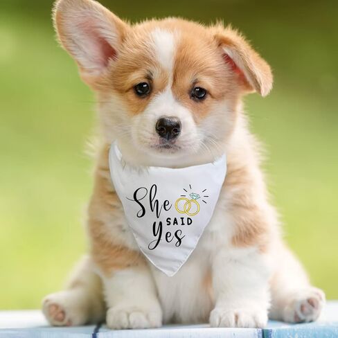 MiCa Direct My Humans are Getting Married She Said Yes Dog Bandana - Wedding Engagement Photos - Pet Scarf Accessories - Pet Accessories for Dog Lovers - 2 PCS in Kuwait